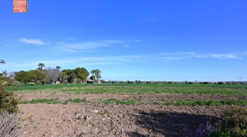 Murcia - Los Alcázares - 159405m2