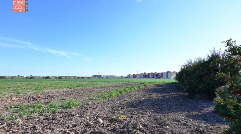 Murcia - Los Alcázares - 159405m2