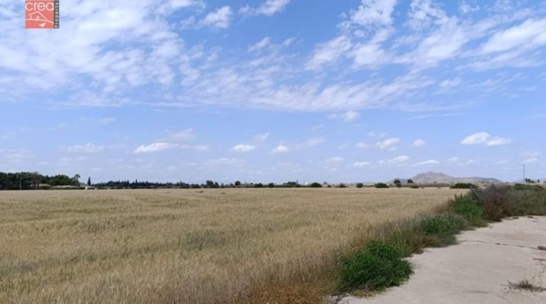 Murcia - Los Alcázares - 159405m2