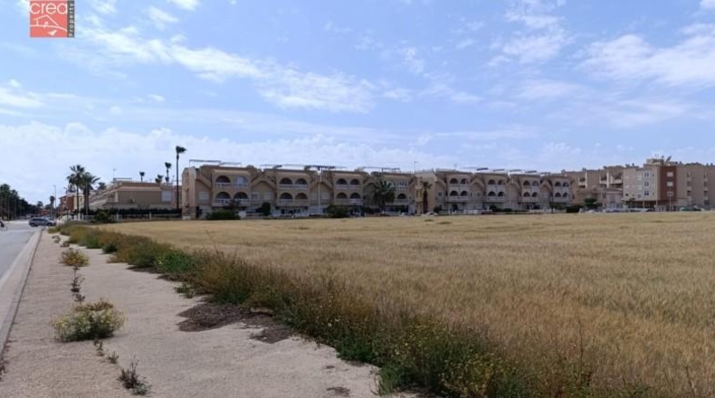 Murcia - Los Alcázares - 159405m2