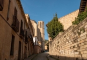 Chalet independiente con terreno en venta en la España, Barcelona, ref: TR236621 foto