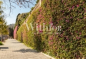 Chalet independiente con terreno en venta en la España, Barcelona, ref: TR236622 foto