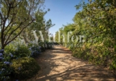 Chalet independiente con terreno en venta en la España, Barcelona, ref: TR236622 foto
