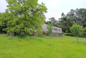 Vila de Cruces 8000&nbsp;m²