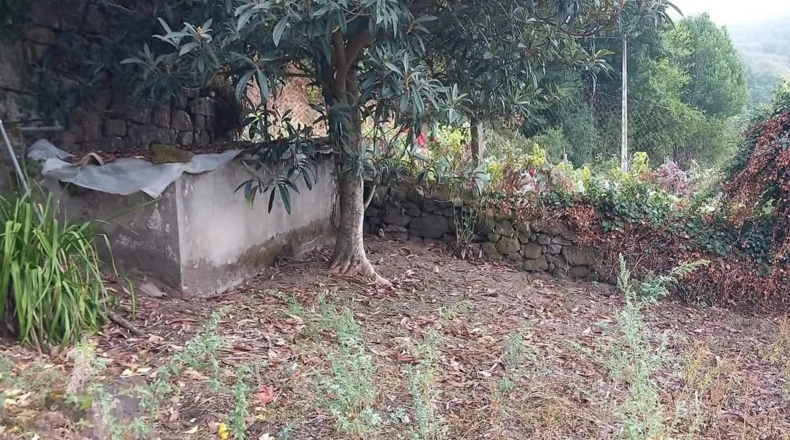 Orense - San Amaro - 400m2