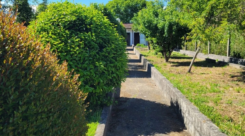 Orense - Dacón - 560m2
