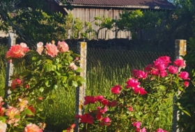 Foto 14