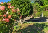 Casa de pueblo en venta en Dacón ref: TR412972 foto