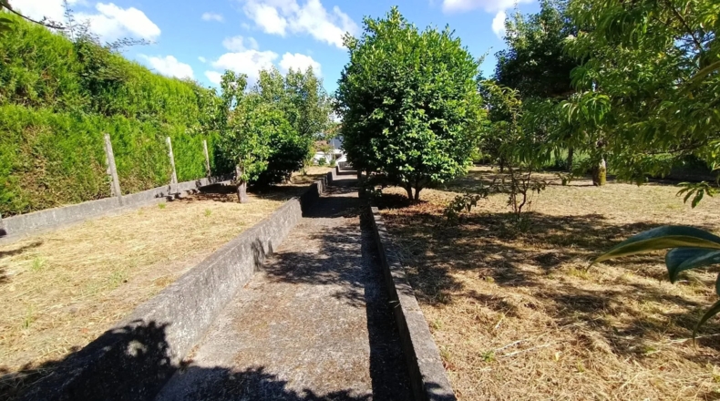 Orense - Dacón - 560m2