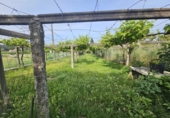 Casa de pueblo en venta en Tallós ref: TR407060 foto