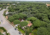 Chalet independiente con terreno en venta en Bollullos de la Mitación ref: TR406226 foto