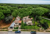 Chalet independiente con terreno en venta en Bollullos de la Mitación ref: TR406226 foto