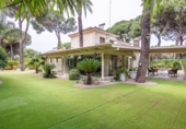 Chalet independiente con terreno en venta en Bollullos de la Mitación ref: TR406226 foto