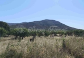 Masía con terreno en venta en Caudete ref: TR412984 foto