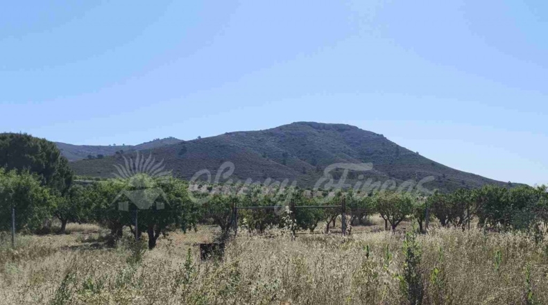 Albacete - Caudete - 5000m2