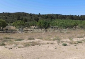 Masía con terreno en venta en Caudete ref: TR412984 foto