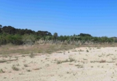Masía con terreno en venta en Caudete ref: TR412984 foto
