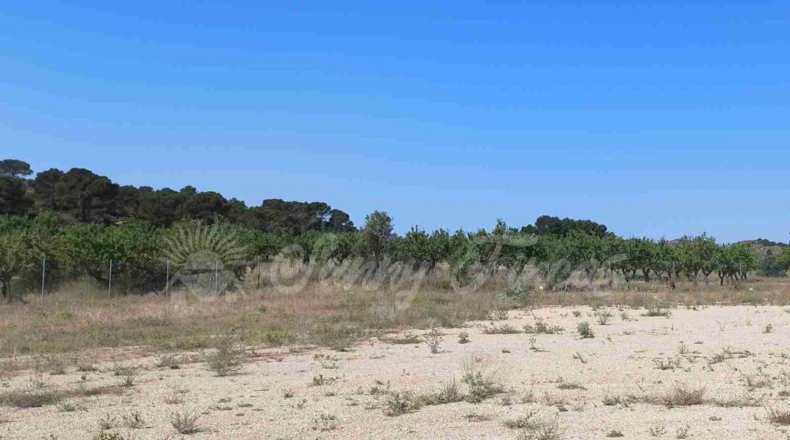 Albacete - Caudete - 5000m2