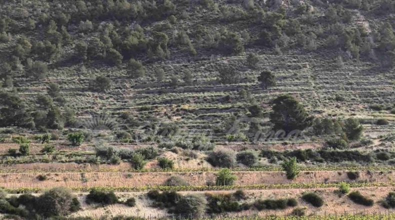 Alicante - La Romana - 10000m2
