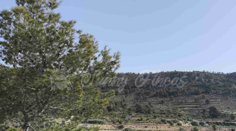 Alicante - La Romana - 10000m2