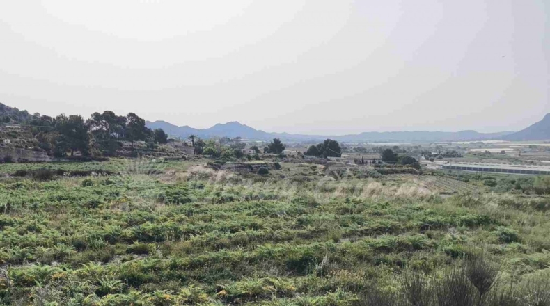 Alicante - La Romana - 10000m2