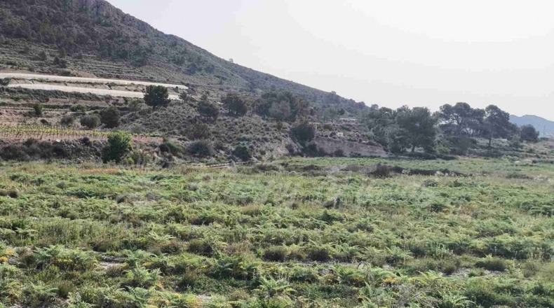 Alicante - La Romana - 10000m2