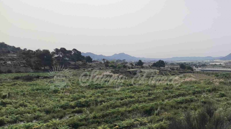 Alicante - La Romana - 10000m2