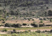Non-developable land for sale in La Romana ref: TR412983 photo