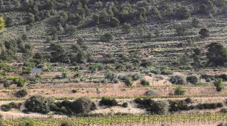 Alicante - La Romana - 10000m2