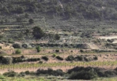 Non-developable land for sale in La Romana ref: TR412983 photo