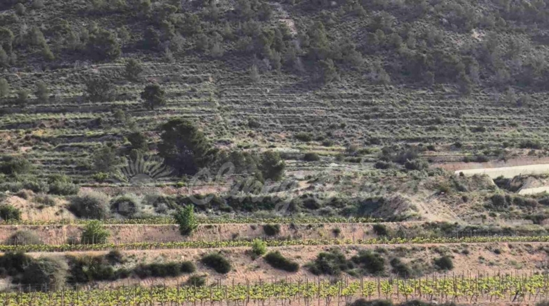 Alicante - La Romana - 10000m2