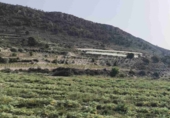 Non-developable land for sale in La Romana ref: TR412983 photo