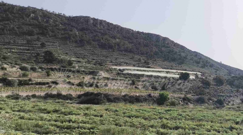 Alicante - La Romana - 10000m2