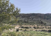 Non-developable land for sale in La Romana ref: TR412983 photo