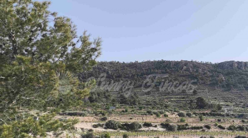 Alicante - La Romana - 10000m2