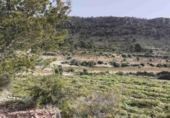 Non-developable land for sale in La Romana ref: TR412983 photo