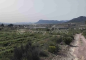 Non-developable land for sale in La Romana ref: TR412983 photo