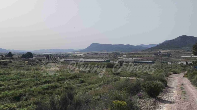 Alicante - La Romana - 10000m2