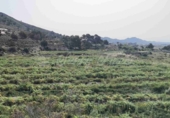 Non-developable land for sale in La Romana ref: TR412983 photo