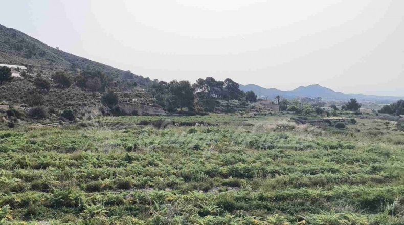 Alicante - La Romana - 10000m2