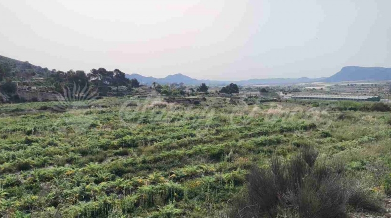 Alicante - La Romana - 10000m2