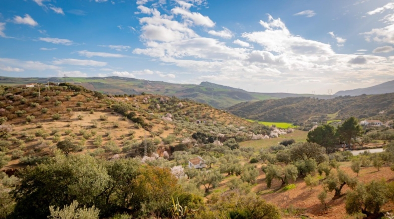 Málaga - Antequera - 167m2