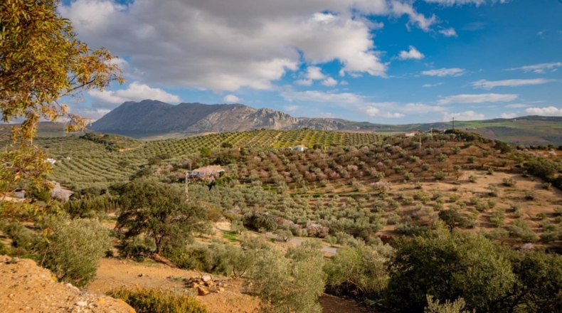 Málaga - Antequera - 167m2