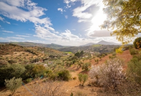 Antequera 167&nbsp;m²