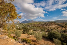 Antequera 167&nbsp;m²