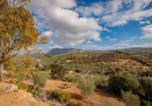 Finca rústica en venta en Antequera ref: TR412990 foto