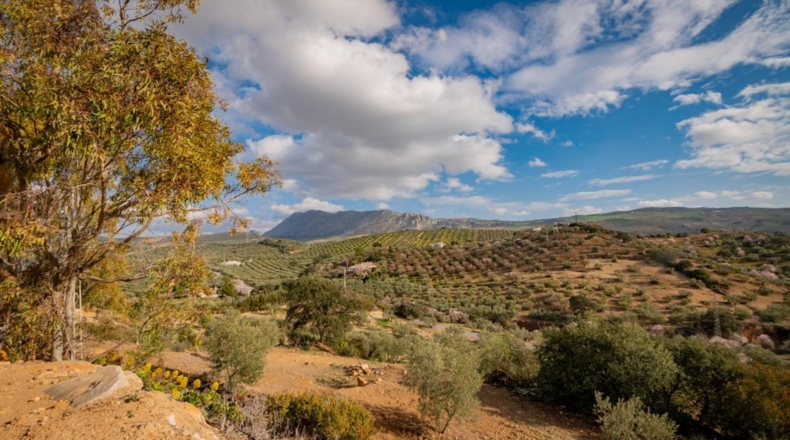 Málaga - Antequera - 167m2