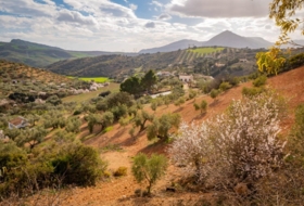 Antequera 167&nbsp;m²