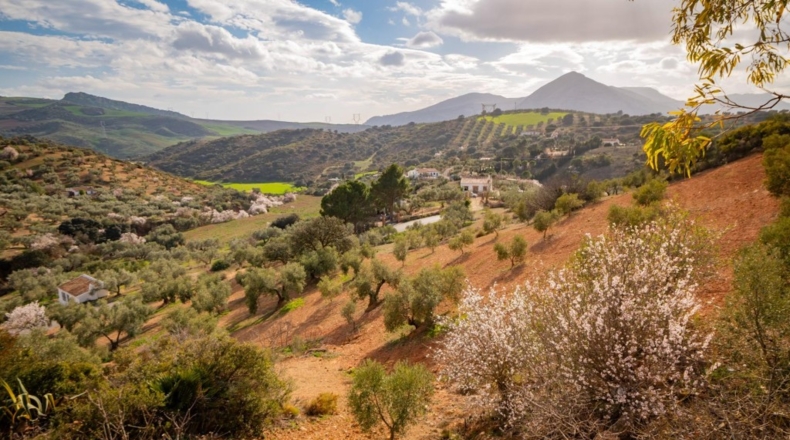 Málaga - Antequera - 167m2