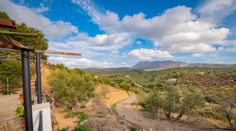 Málaga - Antequera - 167m2